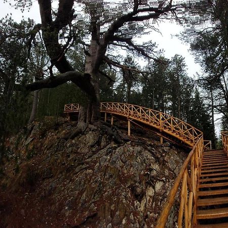 500М. От Лифта Сладък Дом В Белведере Спа Комплекс Bansko Exteriör bild