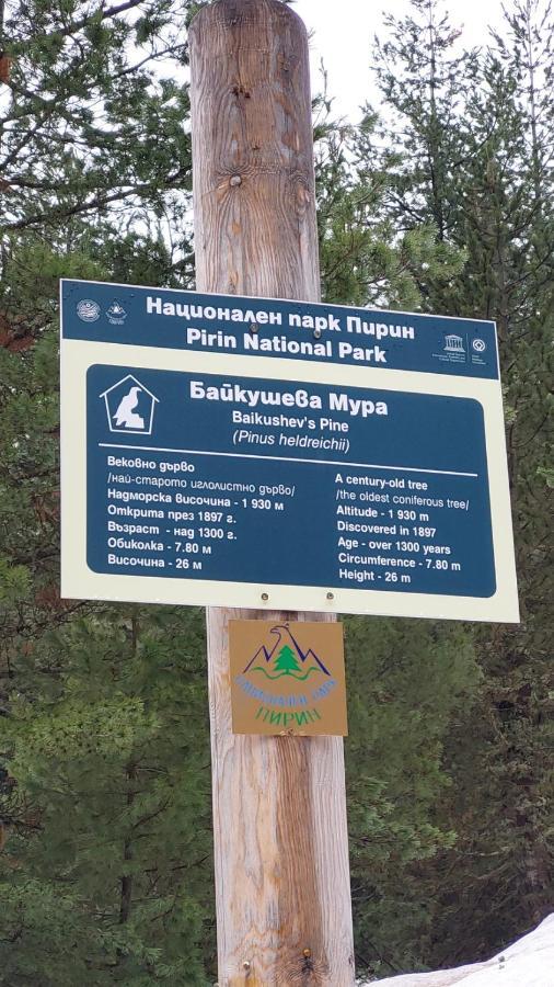 500М. От Лифта Сладък Дом В Белведере Спа Комплекс Bansko Exteriör bild